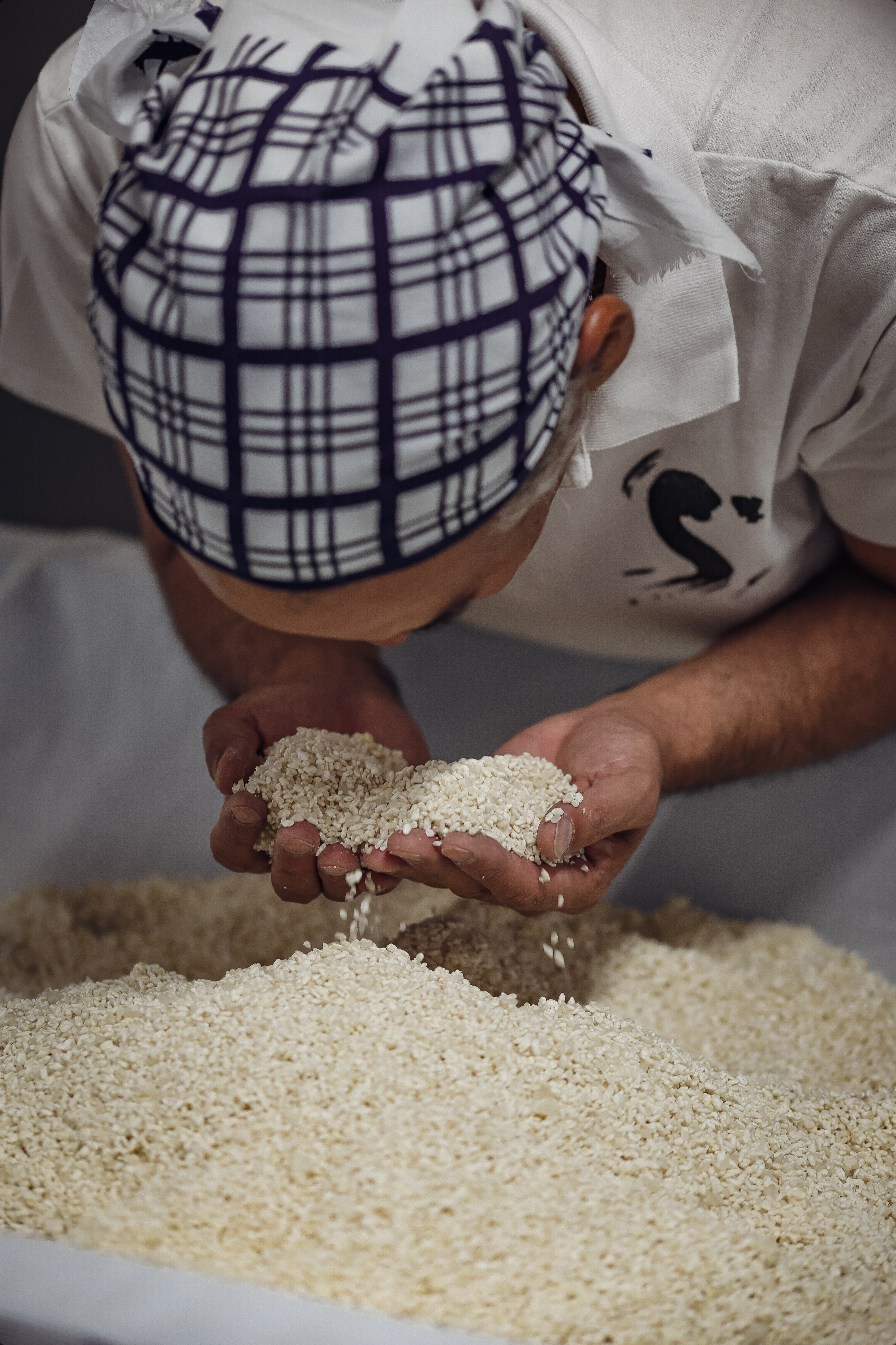 A close-up shot of Camargue rice grains.